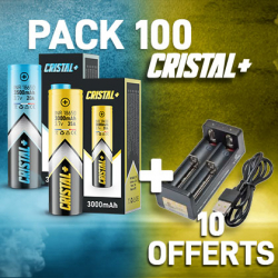 Pack 100 Accus + 10 Chargeurs Offerts