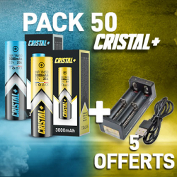 Pack 50 Accus + 5 Chargeurs Offerts