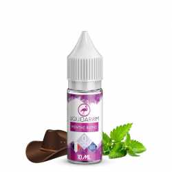 E-liquide Menthe Blend - Liquidarom