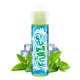 Icee Mint 50ml - Fruizee