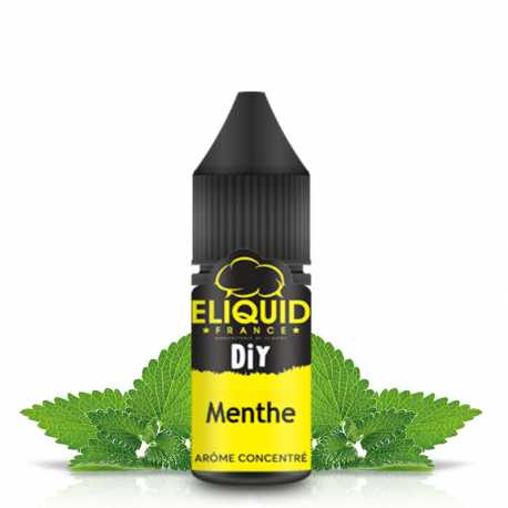 Arôme menthe - Eliquid France