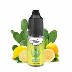 E-liquide Kipick - Summer Spicy