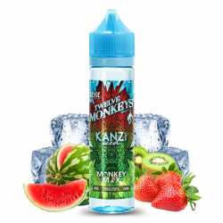 E-liquide Kanzi iced 50ml - Twelve Monkeys