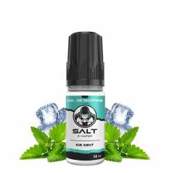 Ice Mint - Salt E-vapor