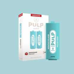 Cartouche Menthe Polaire - Pack de 2 - Le Pod Switch