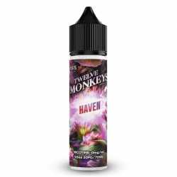 Haven 50ml Oasis - Twelve Monkeys