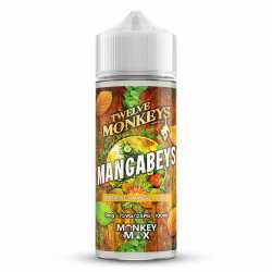 Mangabeys 100ml - Twelve Monkeys