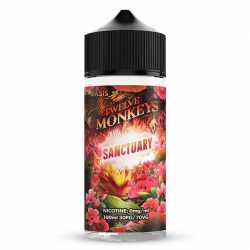 Sanctuary 100ml - Twelve Monkeys