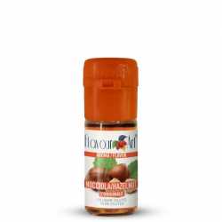 Concentré Hazel Groove (Noisette) - Flavour Art