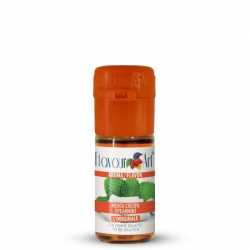 Concentré Menthe Verte (White Winter) 10ml - Flavour Art