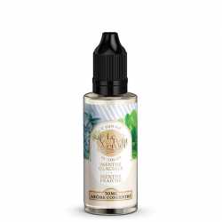 Concentré Menthe Glaciale Menthe Fraîche 30ml - Le Petit Verger