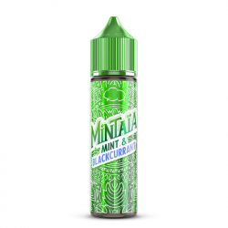 Mint Blackcurrant 50ml - Mintaïa