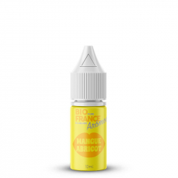 Concentré Mangue Abricot - Bio Pure France