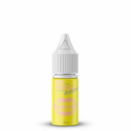Concentré Mangue Glacée - Bio Pure France